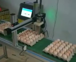 鸿码创S8200配移动平台喷印鸡蛋案例
